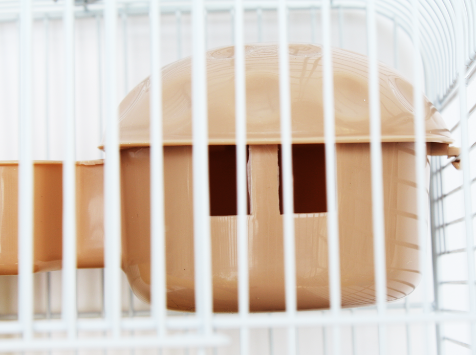 กรงหนูแฮม 157