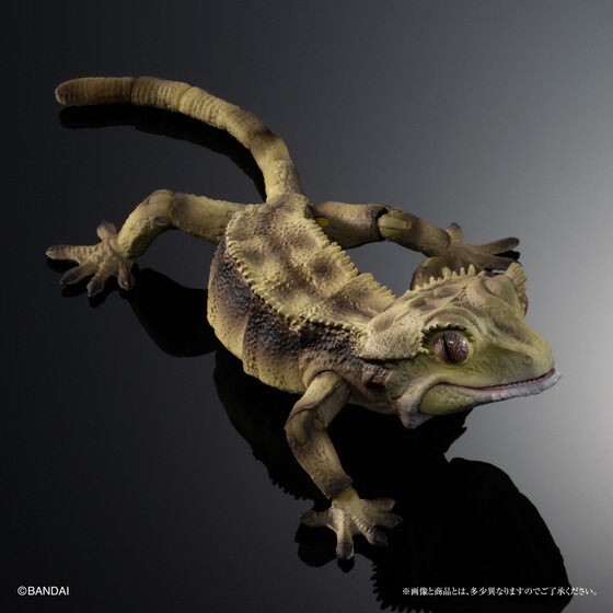 PRE-ORDER : Ikimono Encyclopedia Advance Crested Gecko (Random)