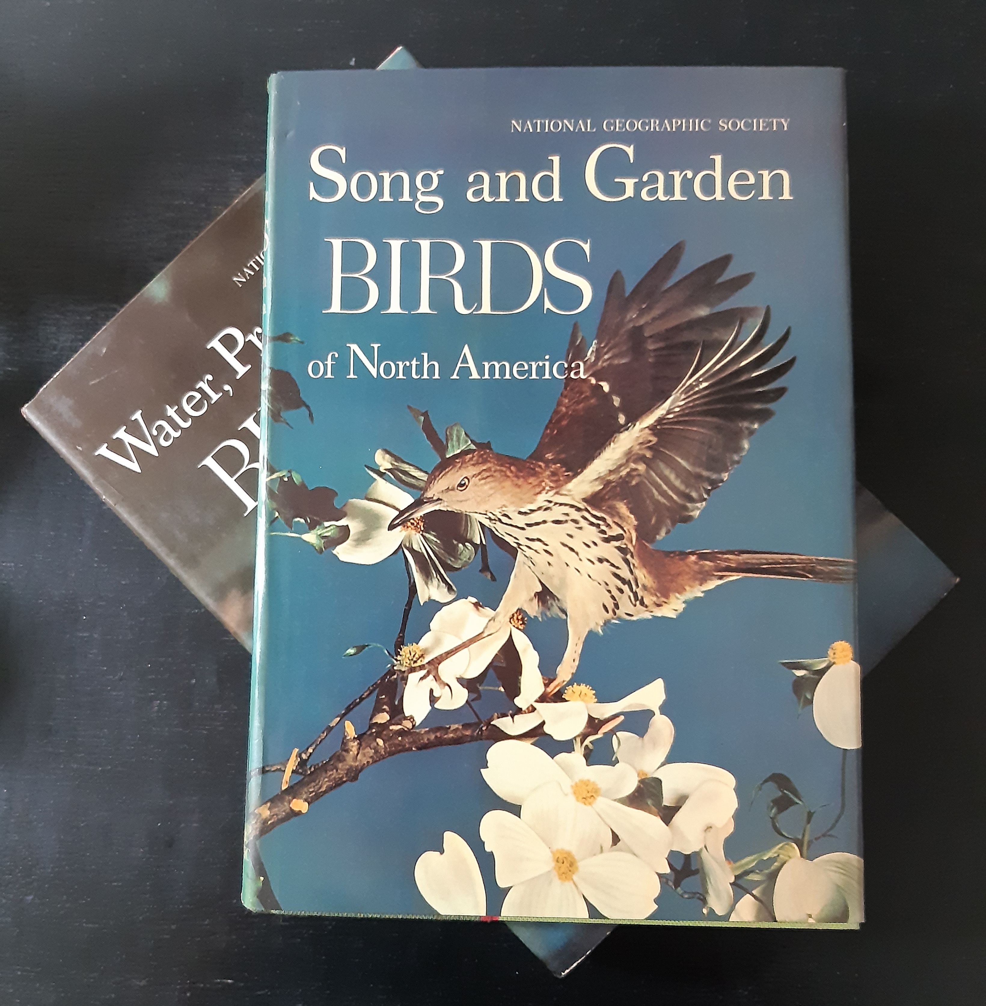 National Geographic Society Box Set Song and Garden Birds of North America+แผ่นเสียง / Water Prey Game Birds of North America+แผ่นเสียง