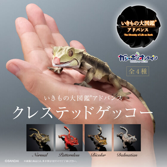 $ Ikimono Encyclopedia Advance Crested Gecko (PB)