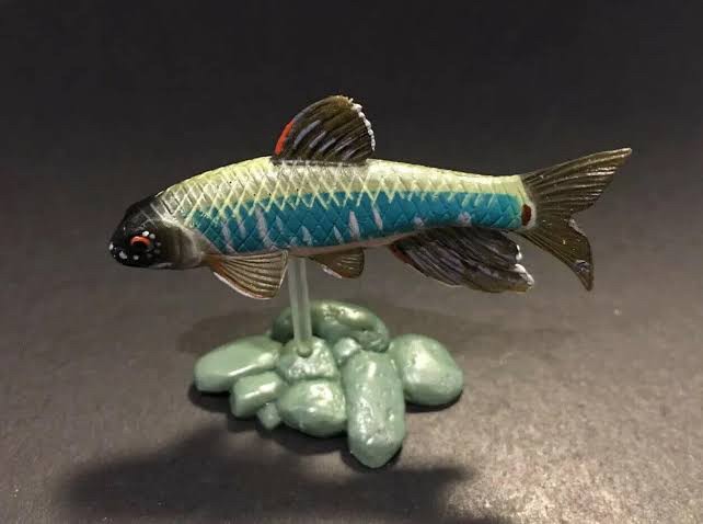กาชาปอง Freshwater Fish Collection vol. 1 Gashapon (Set of 13) by Yujin