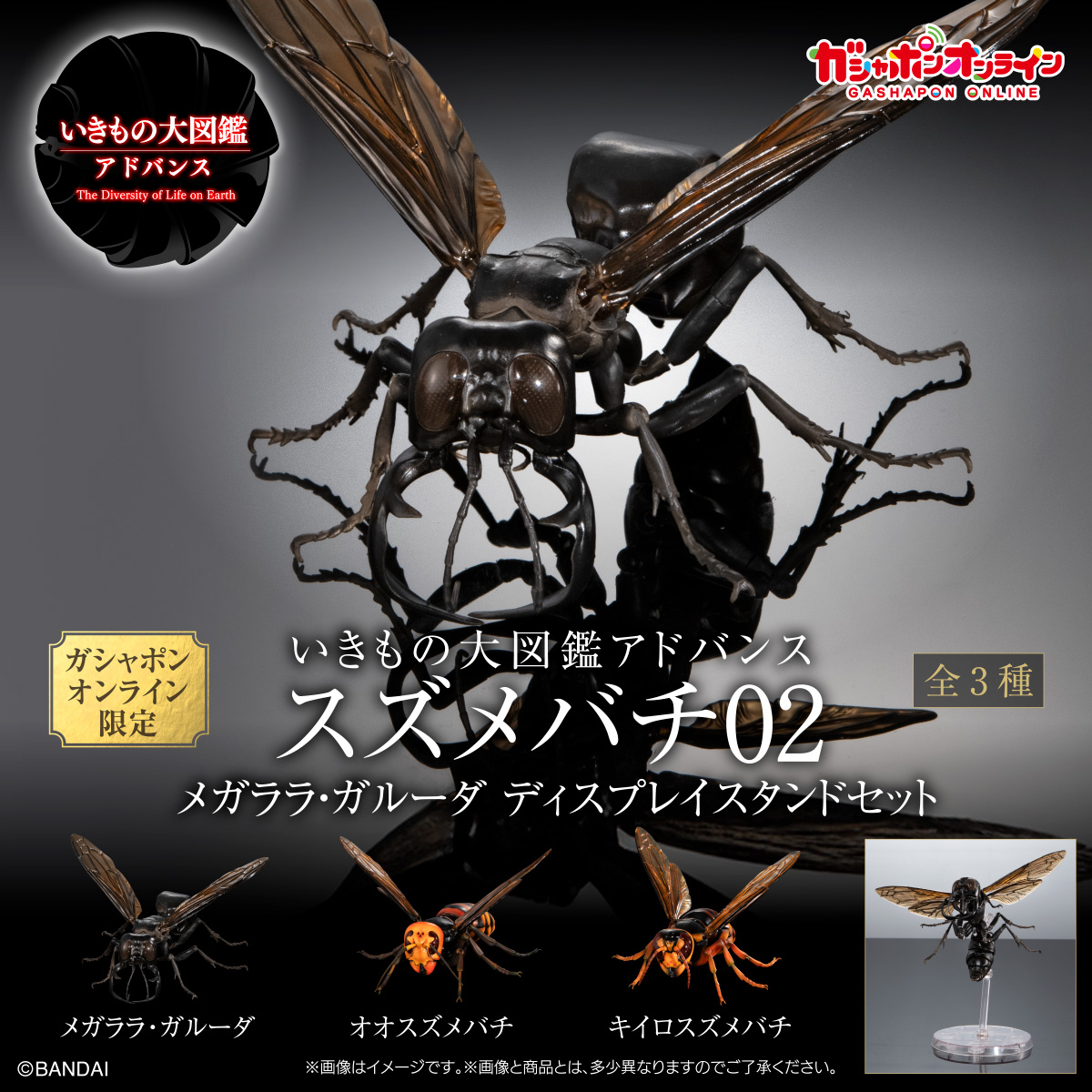 $R Ikimono Encyclopedia Advance Wasp 02 (PB)