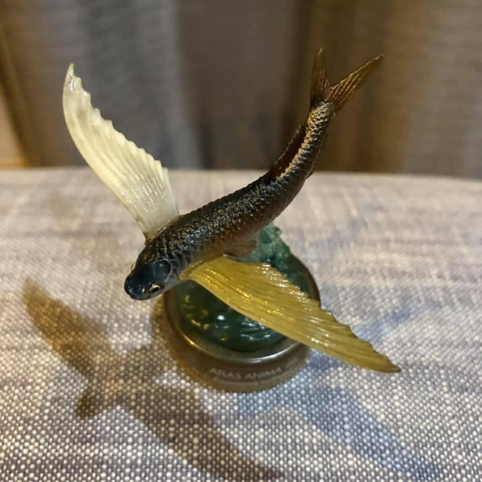 งานฝา สัตว์น้ำ New Enoshima Aquarium World Museum ATLAS ANIMA 3D Bottle Cap Collection (Set of 8) by Kaiyodo