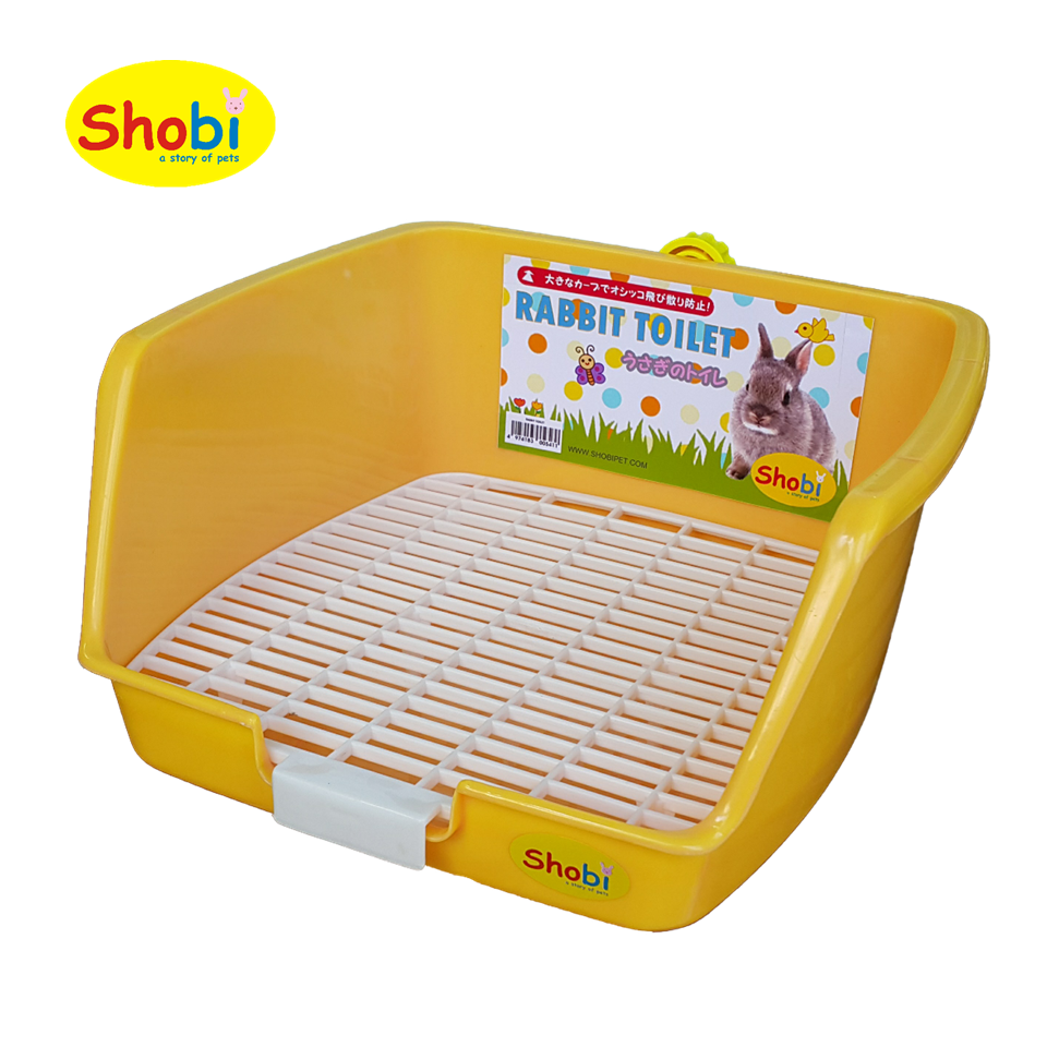 ห้องน้ำกระต่าย แกสบี้