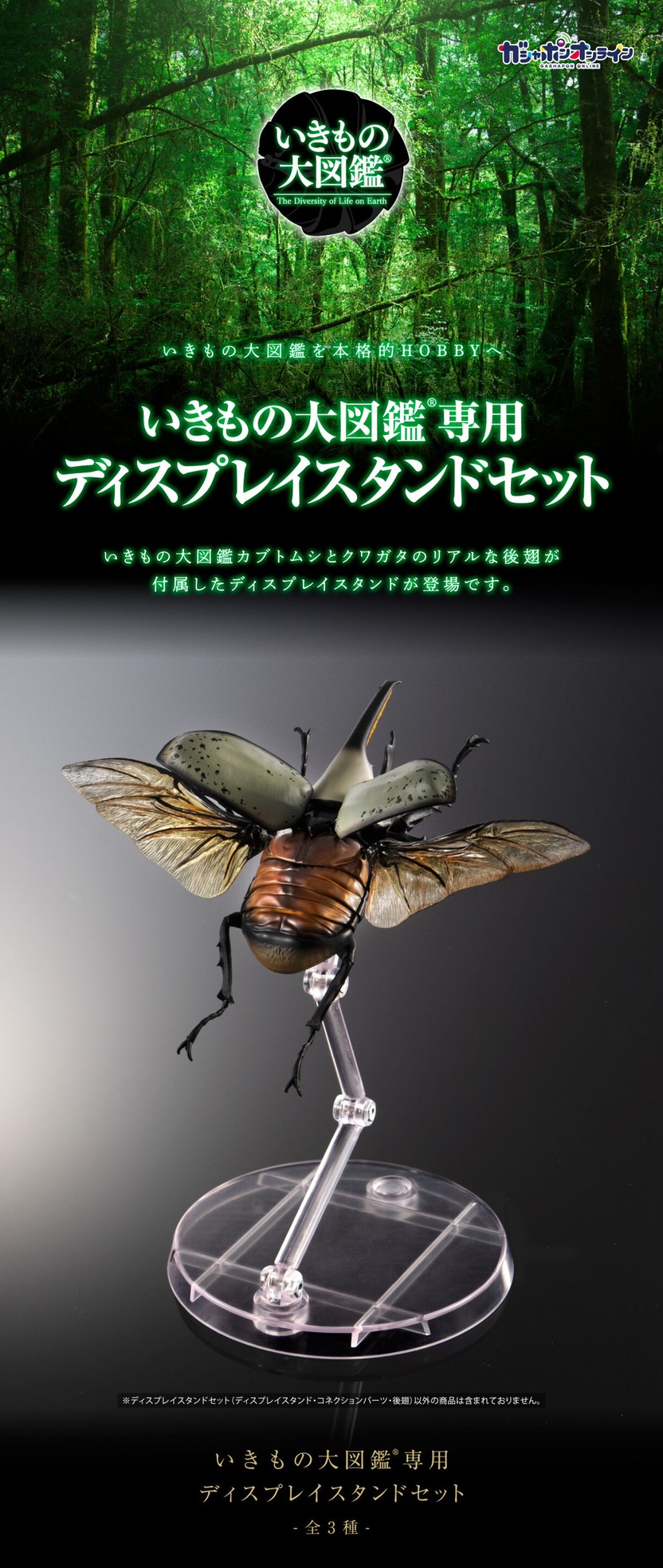 PRE-ORDER : Display Stand for Beetles and Stag Beetles Set for Exclusive Use of Ikimono Encyclopedia