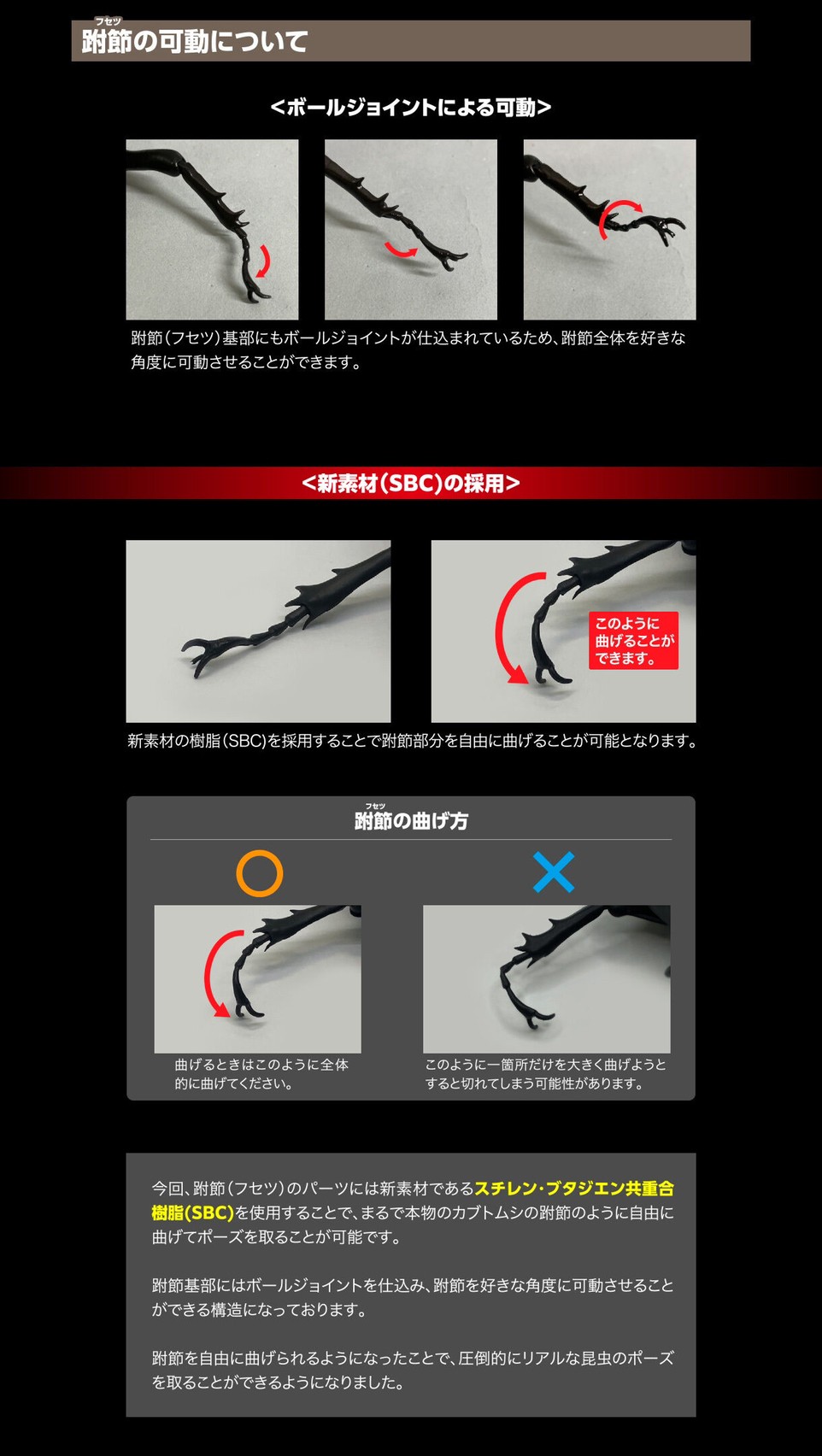 PRE-ORDER : Ikimono Encyclopedia Premium Hercules Beetle (Dynastes hercules)