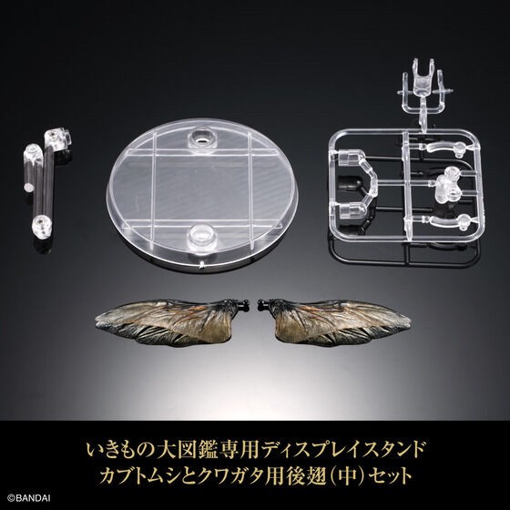 PRE-ORDER : Display Stand for Beetles and Stag Beetles Set for Exclusive Use of Ikimono Encyclopedia