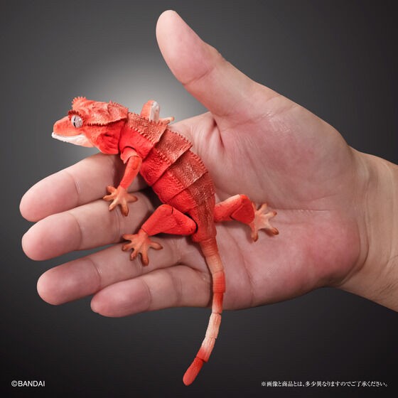 PRE-ORDER : Ikimono Encyclopedia Advance Crested Gecko (Random)