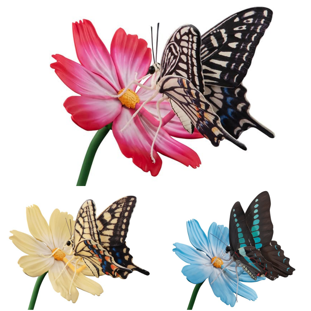 $R Ikimono Encyclopedia Advance Swallowtail Butterfly (PB)