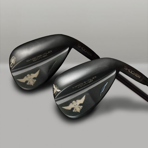 PRE-ORDER : Shin Kamen Rider Wedge