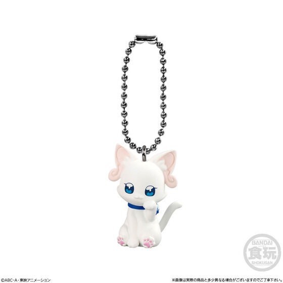 PRE-ORDER : Wandaful PreCure! Mascot (10 pcs)