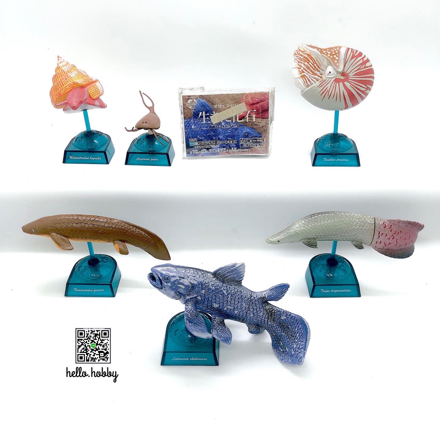 กาชาปอง Earth Life Journey Living Fossil Collection Gashapon (Set of 6) by EPOCH