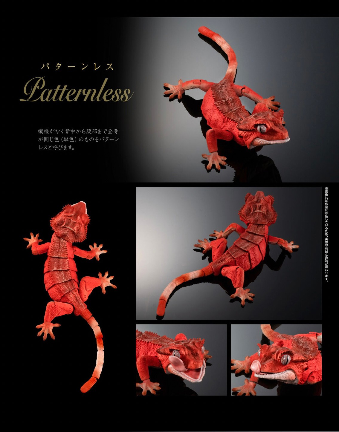 PRE-ORDER : Ikimono Encyclopedia Advance Crested Gecko (Random)