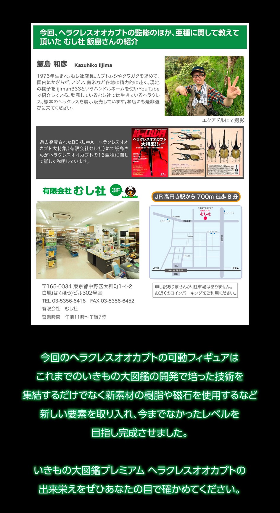 PRE-ORDER : Ikimono Encyclopedia Premium Hercules Beetle (Dynastes hercules)