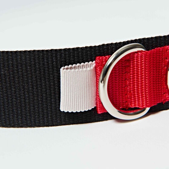 PRE-ORDER : HENSHIN Belt Kamen Rider Den-O | HENSHIN by KAMEN RIDER