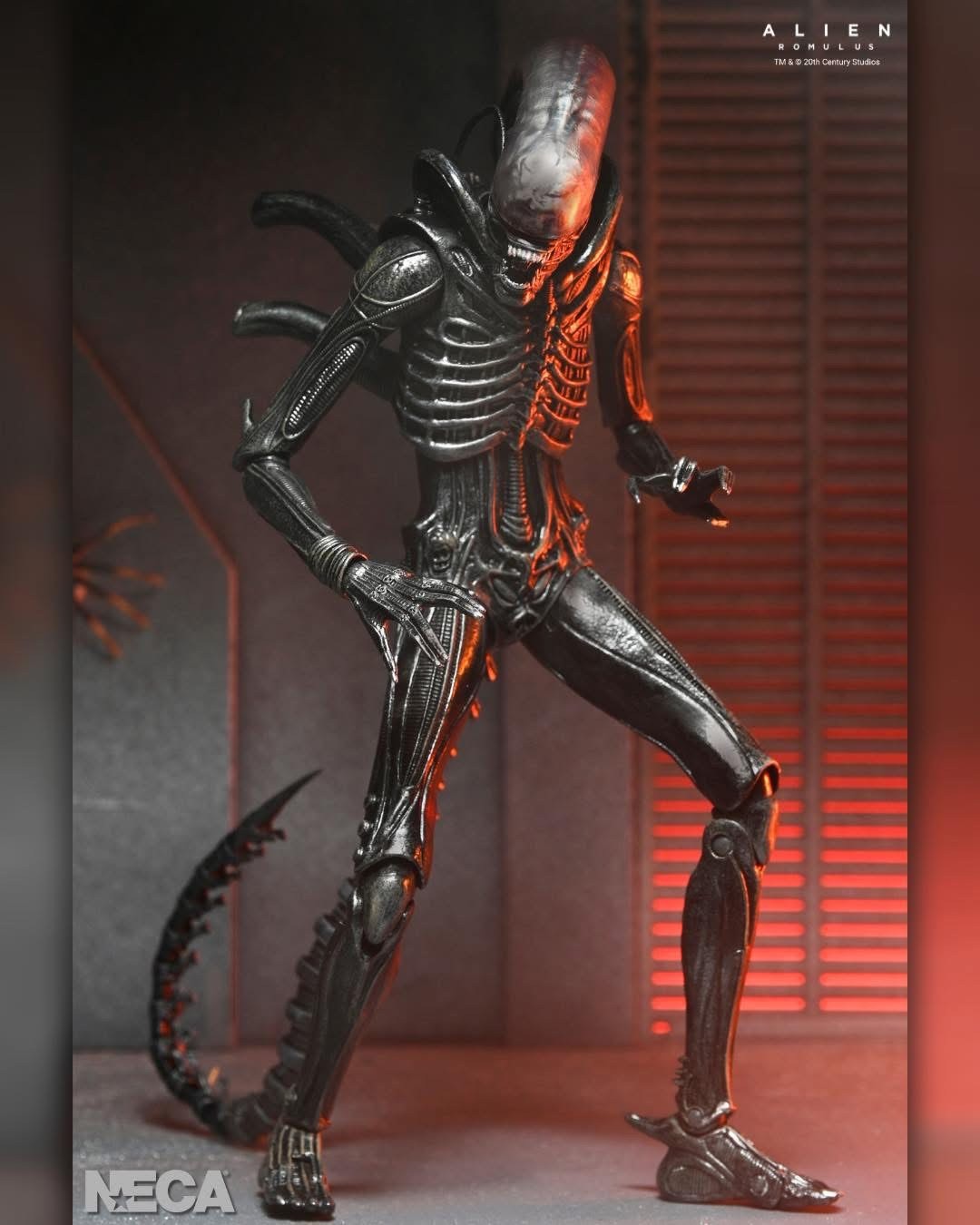 Pre-order : Alien: Romulus - Ultimate Xenomorph XX121 7" Scale Action Figure by NECA