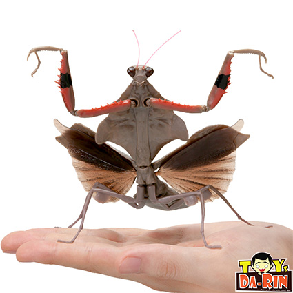 $ Ikimono Encyclopedia Mantis 02