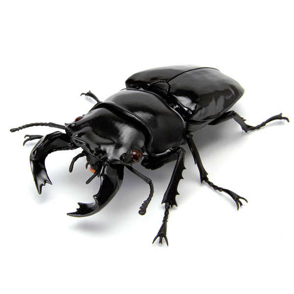 $ Ikimono Encyclopedia Stag Beetle 04