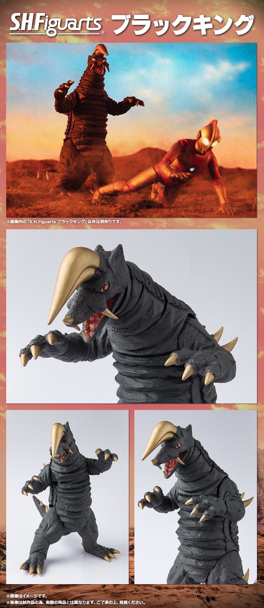 PRE-ORDER : S.H.FIGUARTS BLACK KING