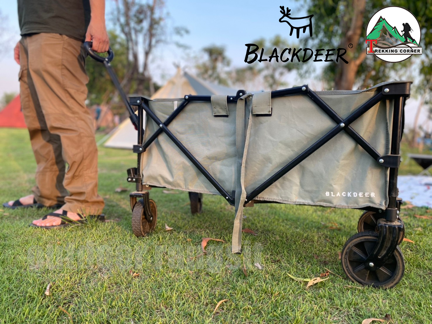 รถเข็นพกพา Blackdeer wagon folding