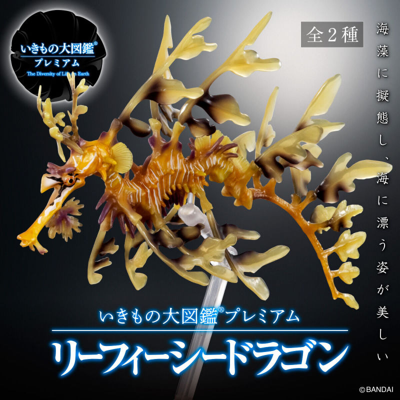 $ Ikimono Encyclopedia Leafy Seadragon (Yellow) (PB)