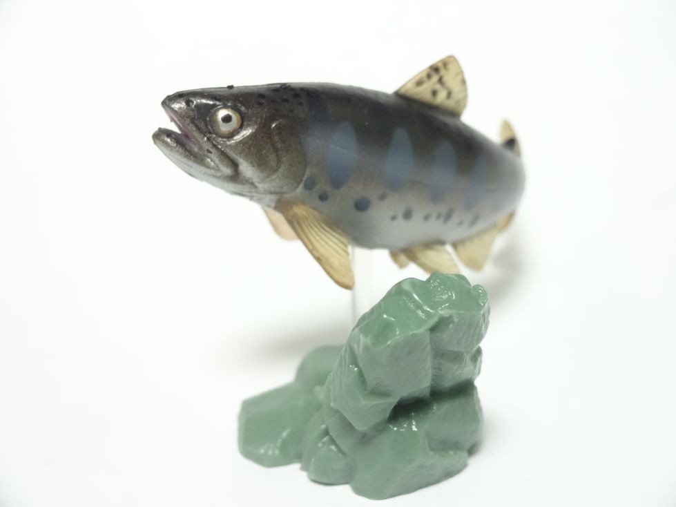 กาชาปอง Freshwater Fish Collection vol. 1 Gashapon (Set of 13) by Yujin