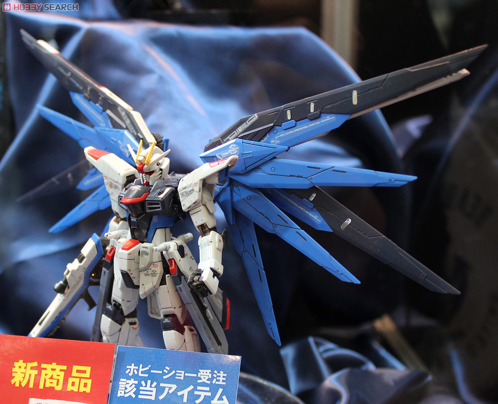 RG 1/144 Freedom Gundam by Bandai