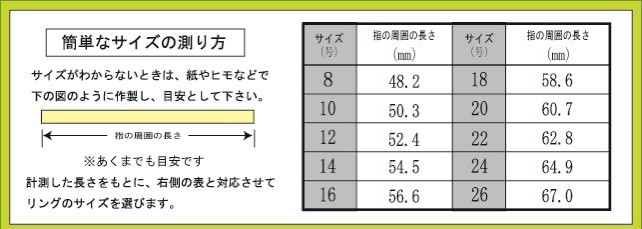 PRE-ORDER : Kamen Rider Kuuga Silver925 Ring