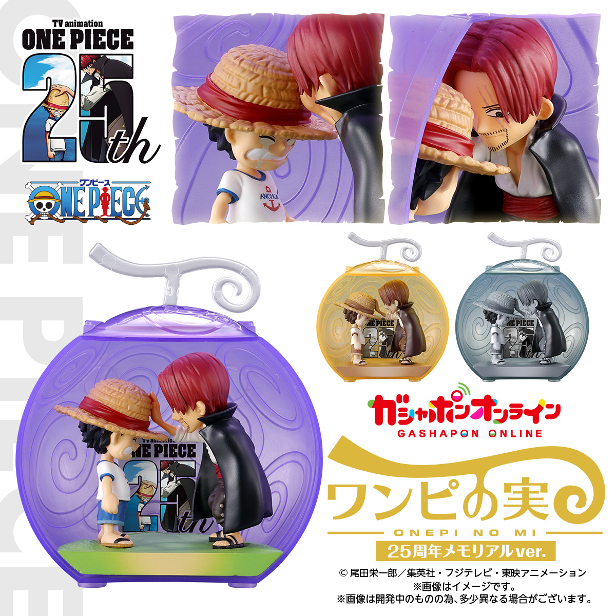 PRE-ORDER 2024.10 : One Piece ONEPI NO MI 25th Anniversary Memorial Ver. (PB)