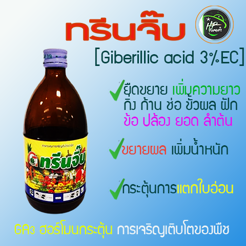 ทรีนจิ๊บ[จิบเบอเรลลิคเอซิด3.0%(100ซีซี) ยายืดยอด ขยาย กิ่ง ก้าน ใบ ช่อ ขั้ว ปล้อง ฝัก ขยายผลเพิ่มน้ำหนัก เพิ่มความยาว เพิ่มผลผลิต