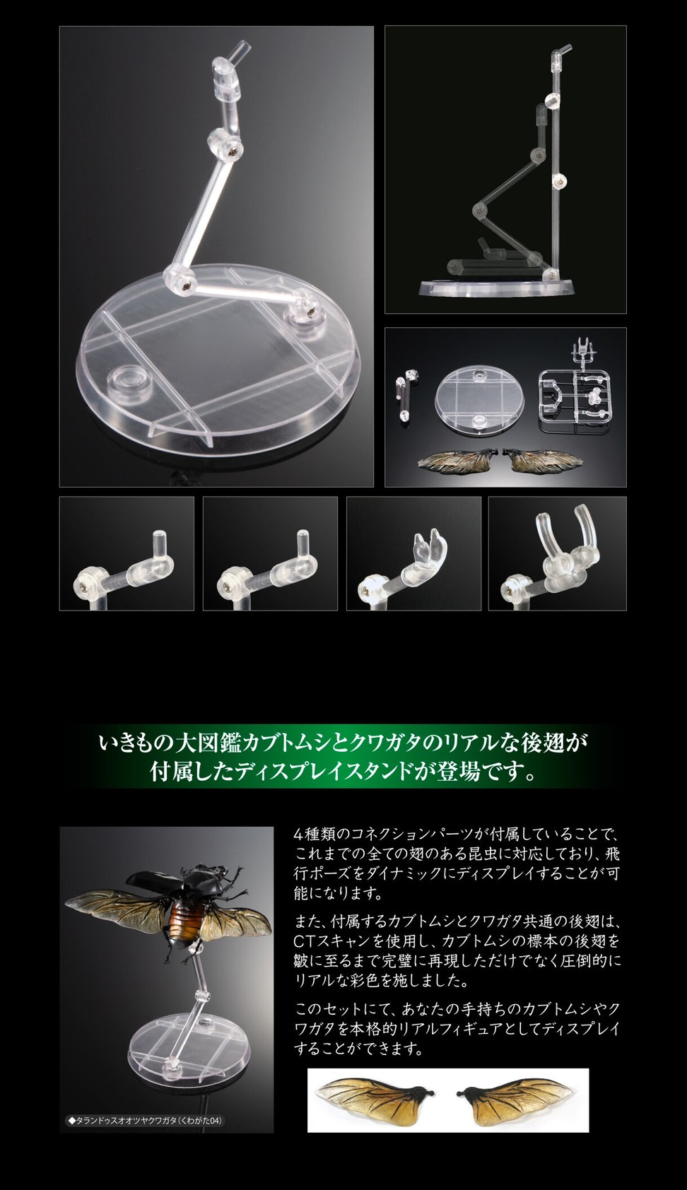 PRE-ORDER : Display Stand for Beetles and Stag Beetles Set for Exclusive Use of Ikimono Encyclopedia