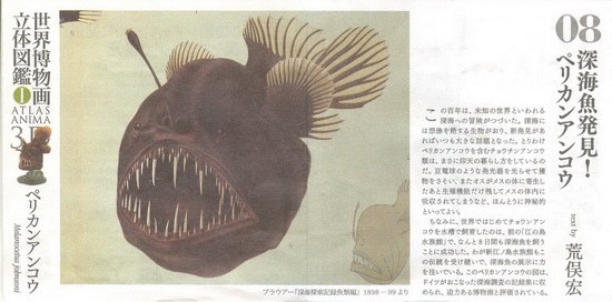 งานฝา สัตว์น้ำ New Enoshima Aquarium World Museum ATLAS ANIMA 3D Bottle Cap Collection (Set of 8) by Kaiyodo