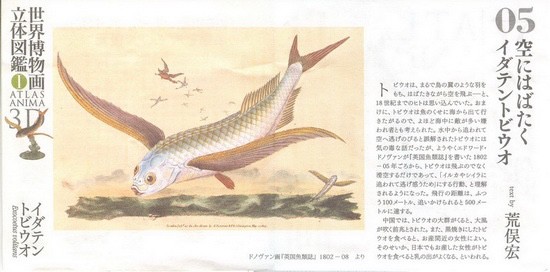 งานฝา สัตว์น้ำ New Enoshima Aquarium World Museum ATLAS ANIMA 3D Bottle Cap Collection (Set of 8) by Kaiyodo