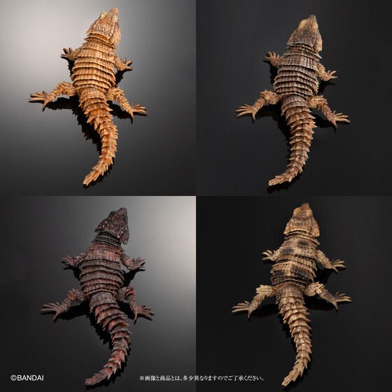 PRE-ORDER : Ikimono Encyclopedia Advance Armadillo Lizards (Random)