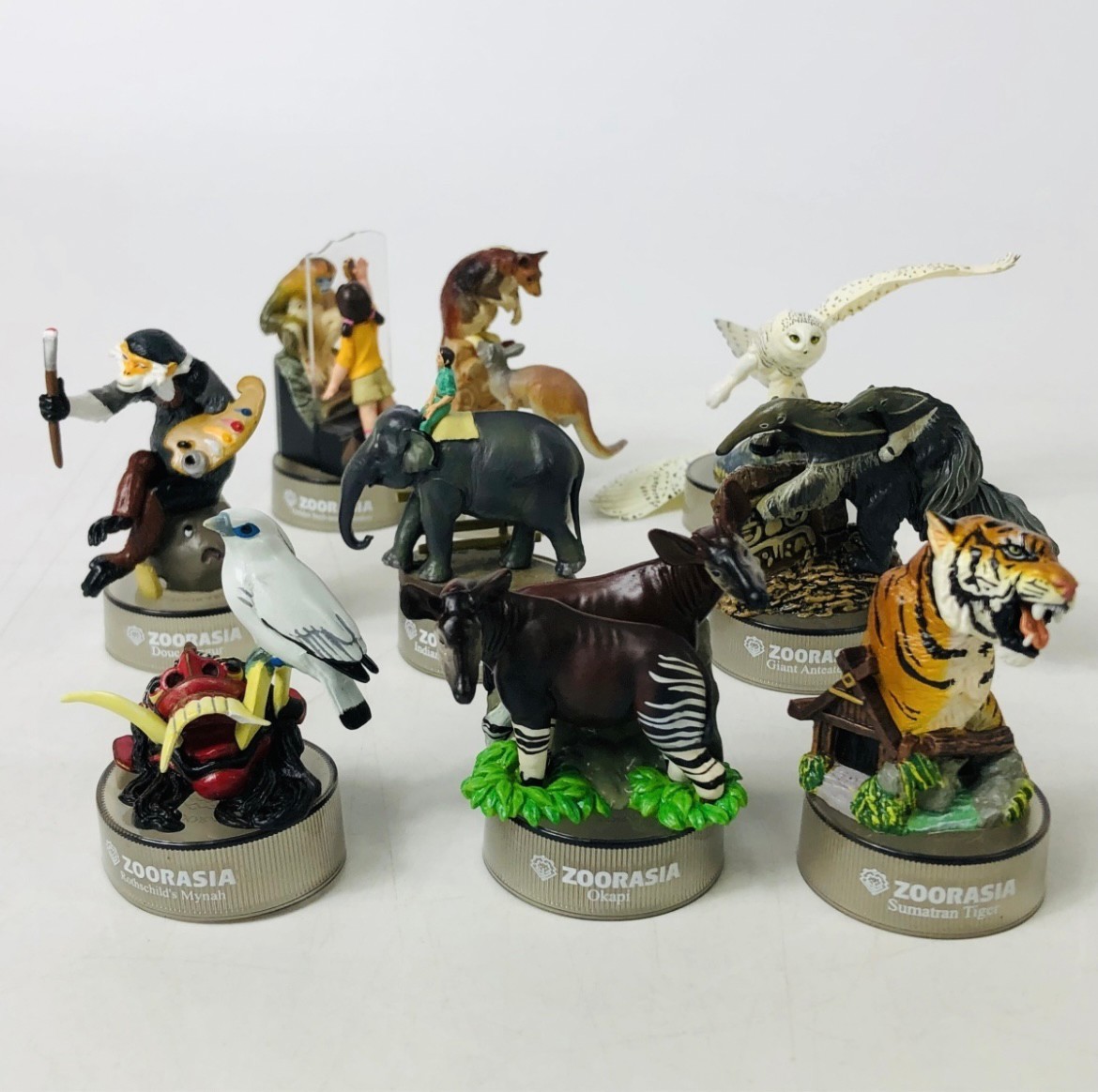 งานฝา กาชาปอง Yokohama Zoo Zoorasia Lunch Jungle Cracker Bottle Cap Trading Figure Collection by Kaiyodo (Set of 9)