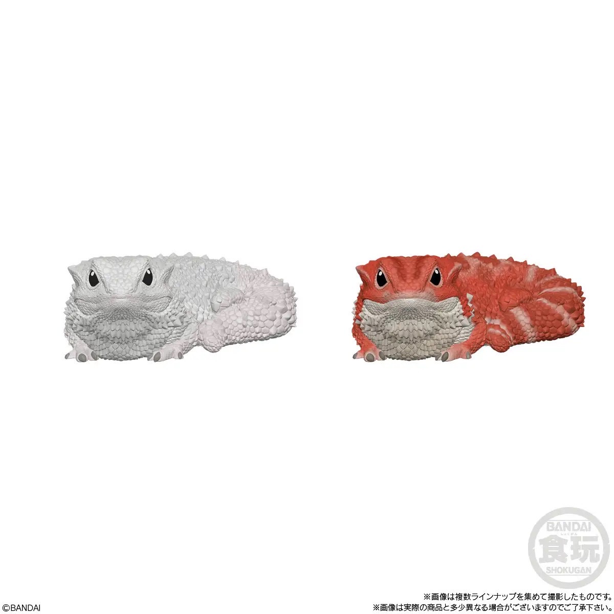 Tenori Friends 8 Reptiles & Amphibians