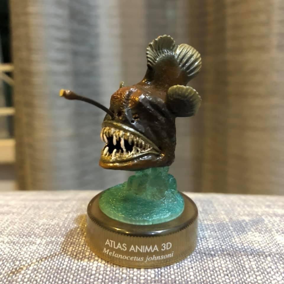 งานฝา สัตว์น้ำ New Enoshima Aquarium World Museum ATLAS ANIMA 3D Bottle Cap Collection (Set of 8) by Kaiyodo