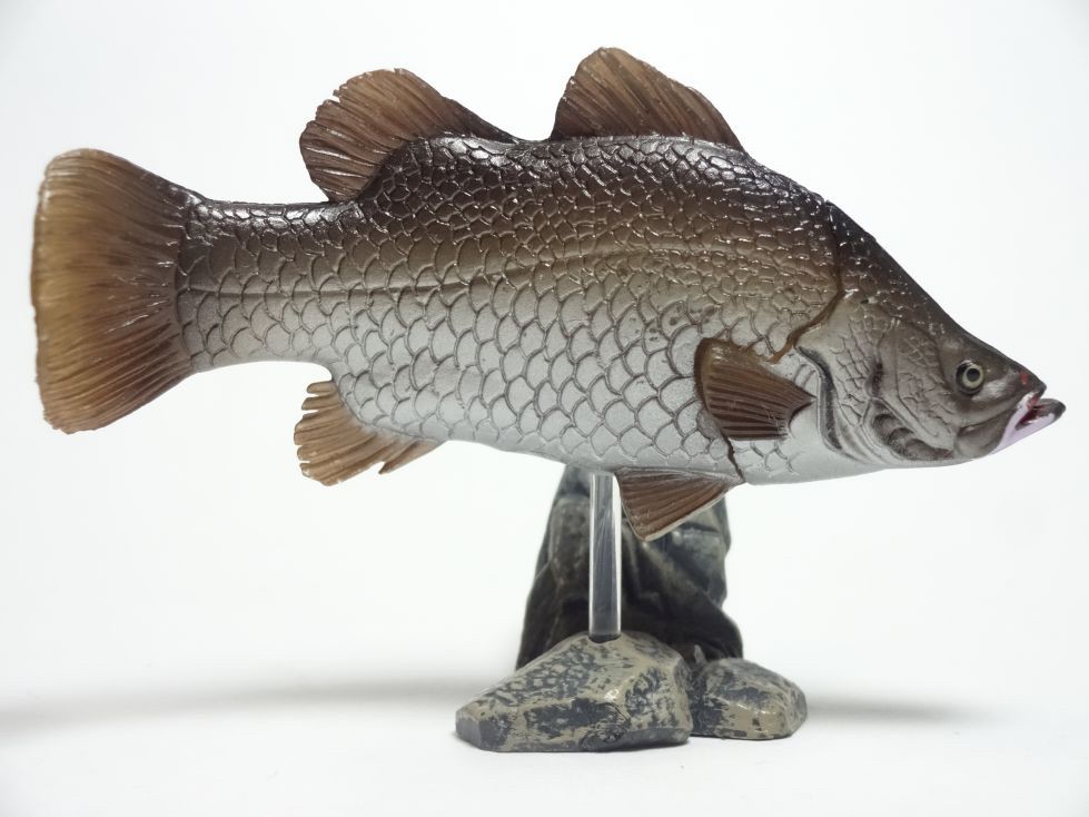 กาชาปอง Freshwater Fish Collection vol. 1 Gashapon (Set of 13) by Yujin