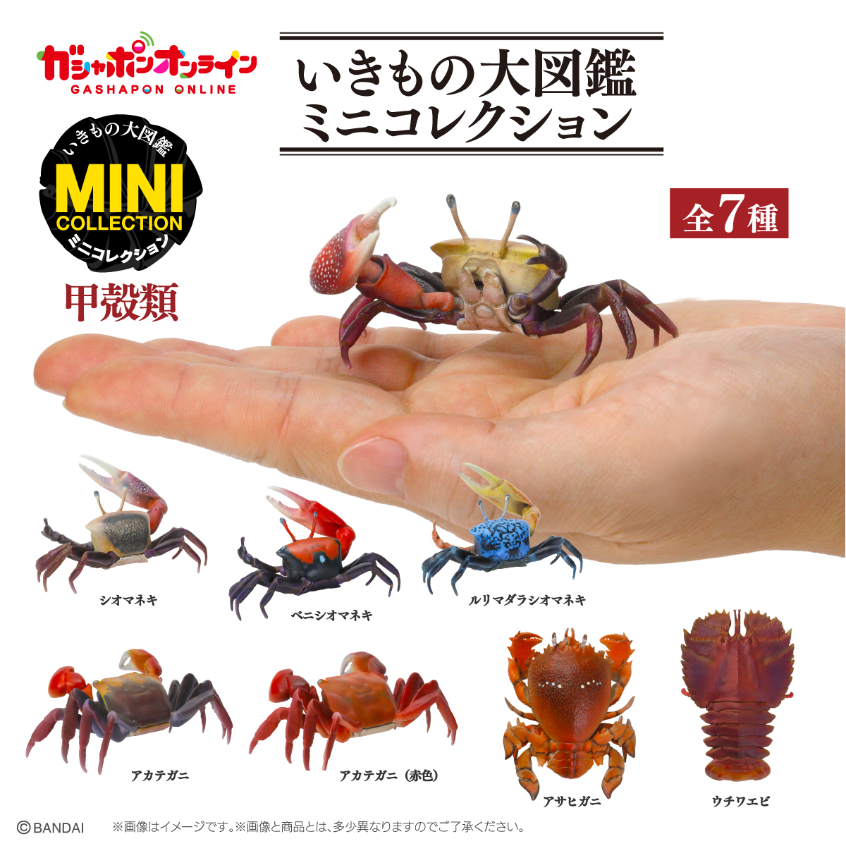 CPRE-ORDER 2024.03 : Ikimono Encyclopedia Mini Collection Crustacean 01 [ SET7 - 1750+- / มัดจำ 300 (ไม่รวมค่าจัดส่ง) ] ปิดรับออเดอร์ : 00/01/00