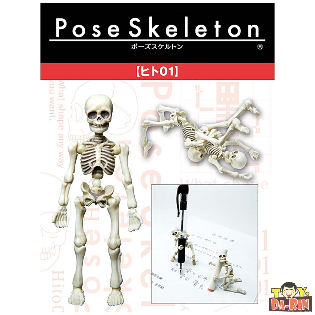 Pose Skeleton Human 01