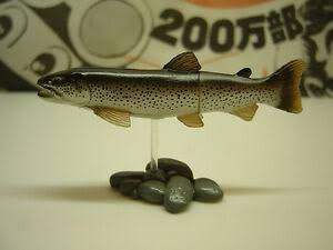 กาชาปอง Freshwater Fish Collection vol. 1 Gashapon (Set of 13) by Yujin