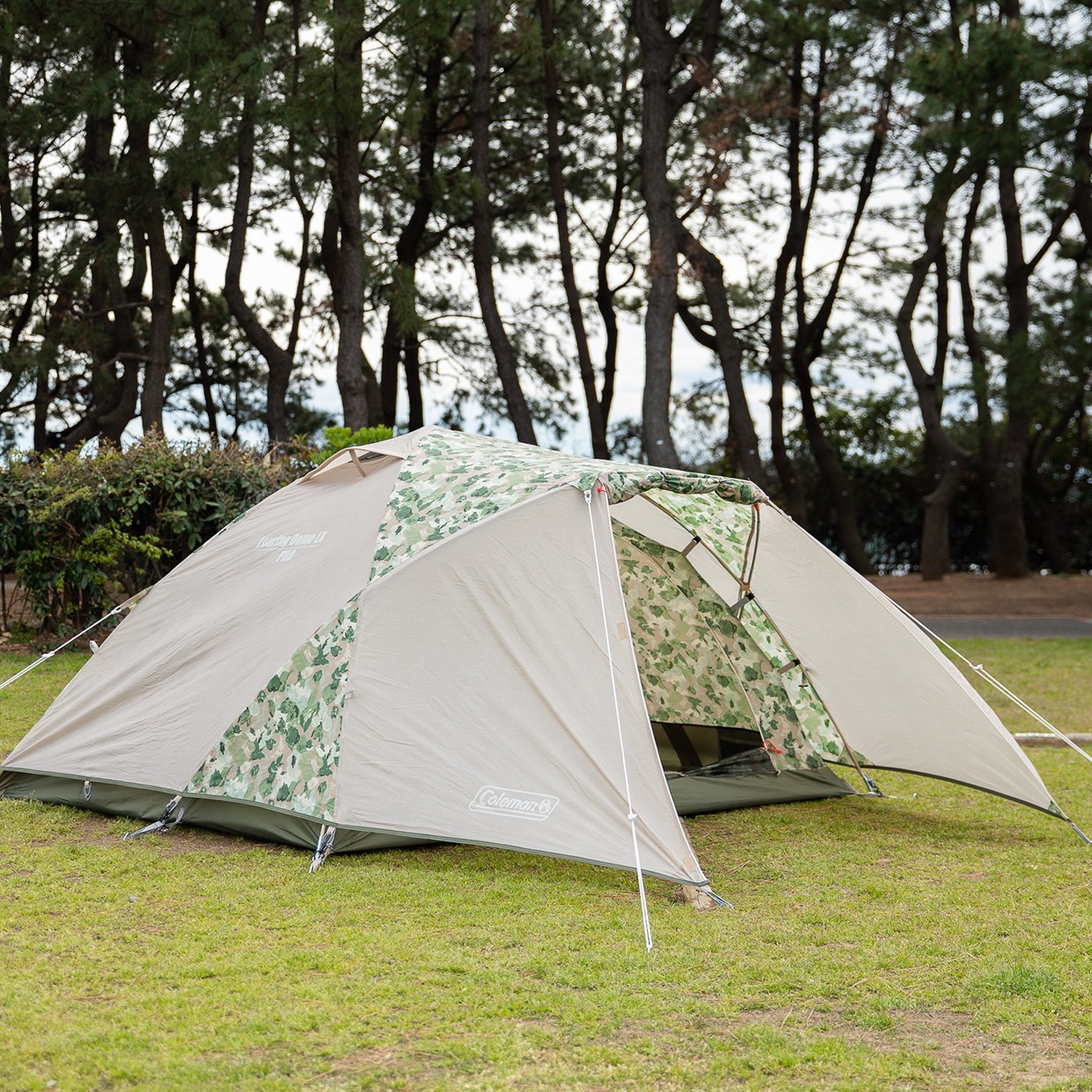 Coleman stomp touring dome/lx