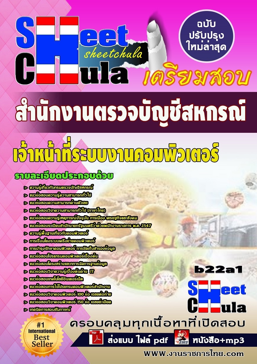 b22a1 - เจ้าหน้าที่ระบบงานคอมพิวเตอร์ สำนักงานตรวจบัญชีสหกรณ์