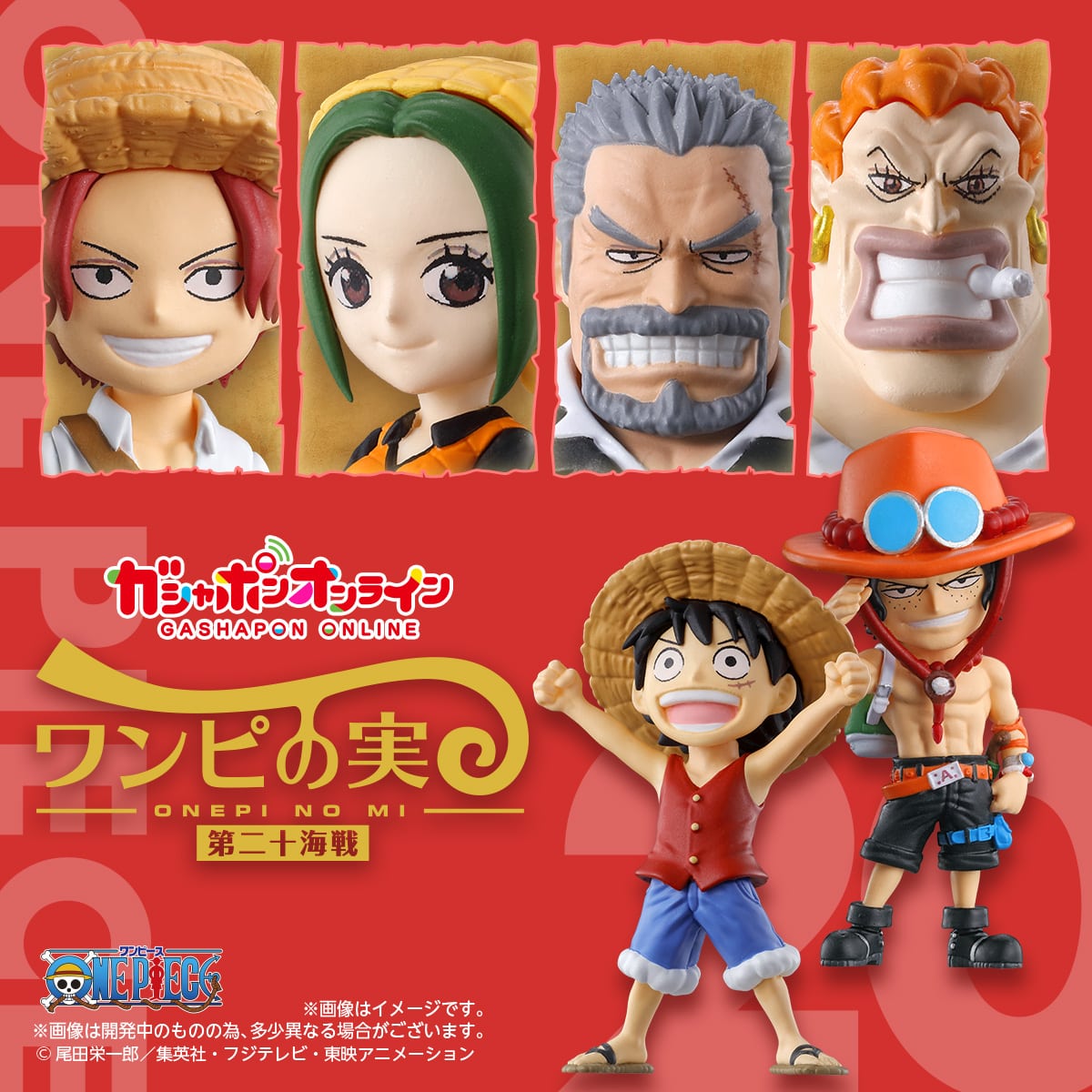 $ One Piece ONEPI NO MI 20 (Violet)