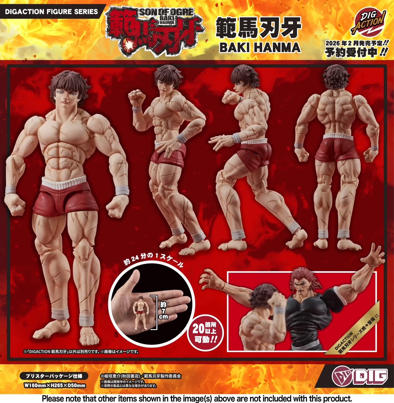 Pre-order : 1/24 DIGACTION Son of Ogre Baki Hanma: Baki Hanma / Kaoru Hanayama by DIG