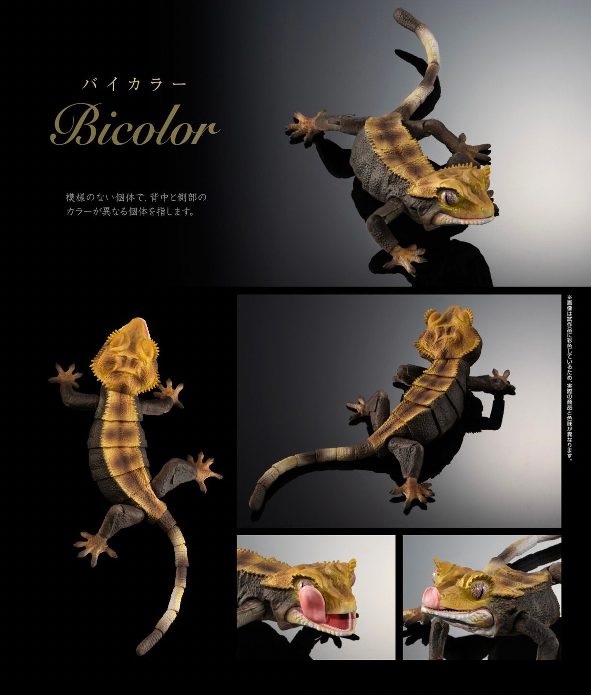 PRE-ORDER : Ikimono Encyclopedia Advance Crested Gecko (Random)