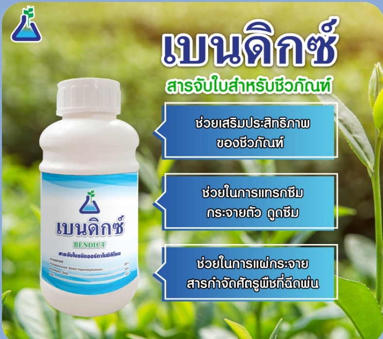 สารจับใบเข้มข้น เบนดิกซ์(Bendict) ใช้เป็นทั้งสารจับใบและสารเพิ่มประสิทธิภาพในการ แทรกซึม และการแพร่กระจายปุ๋ยทางใบและสารป้องกันกำจัดศัตรูพืช ให้เข้าสู่เซลพืชในปริมาณที่มากขึ้น รวดเร็วขึ้น ง่ายขึ้น