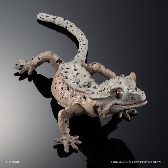 PRE-ORDER : Ikimono Encyclopedia Advance Crested Gecko (Random)