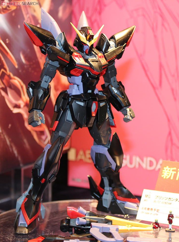 MG 1/100 GAT-X207 Blitz Gundam by Bandai