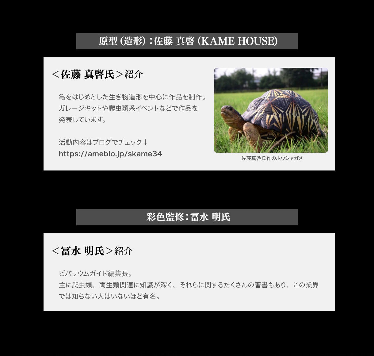 PRE-ORDER : Ikimono Encyclopedia Advance Armadillo Lizards (Random)